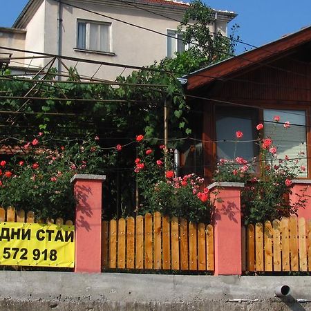 Guesthouse Elena بيلوغرادتشيك المظهر الخارجي الصورة