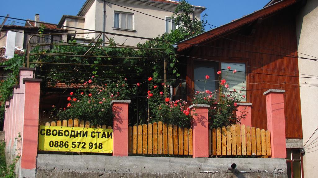 Guesthouse Elena بيلوغرادتشيك المظهر الخارجي الصورة